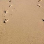 ślady stóp na piasku