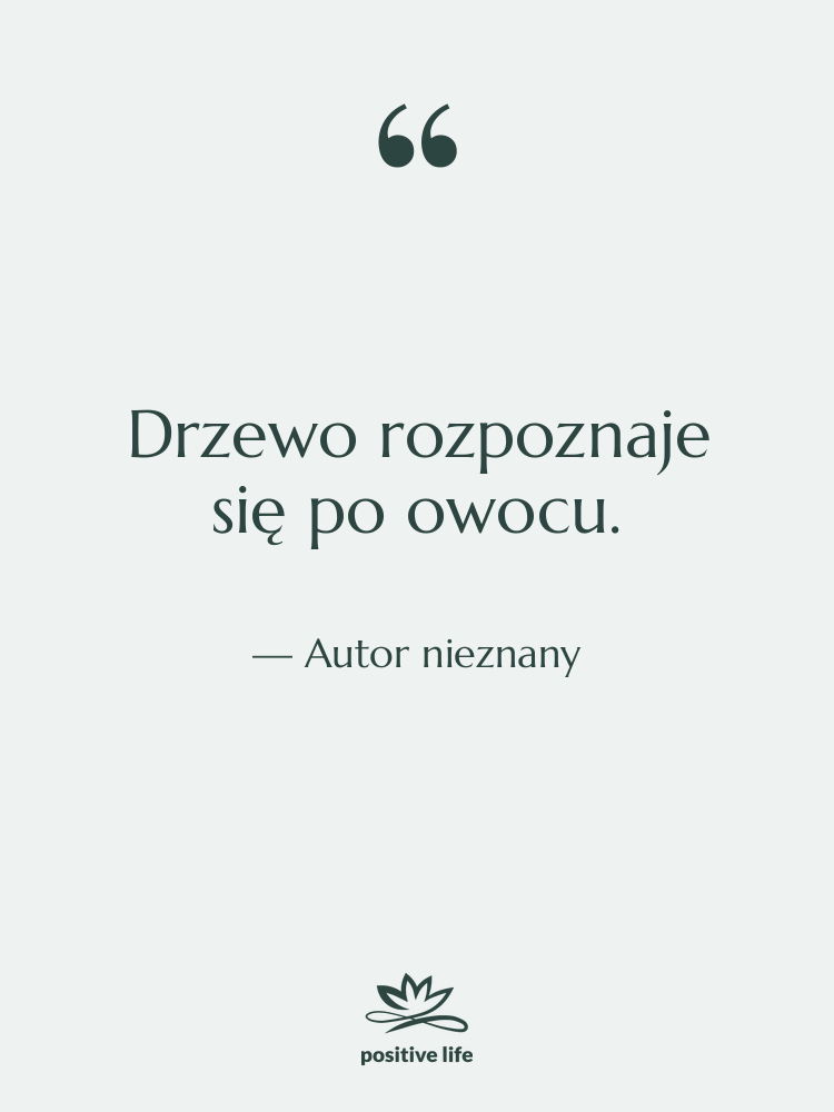 Cytat: Autor nieznany - Drzewo rozpoznaje się po owocu.