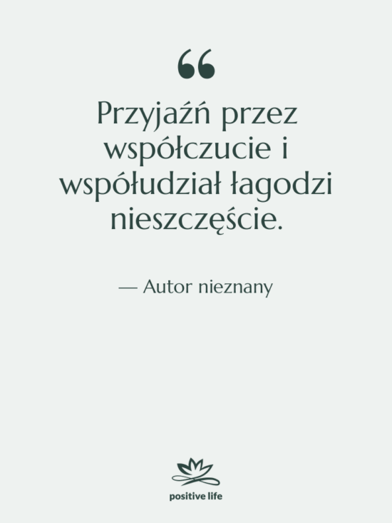 Cytat: Autor nieznany - Przyjaźń przez współczucie i współudział…