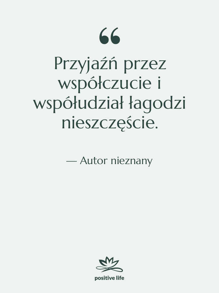 Cytat: Autor nieznany - Przyjaźń przez współczucie i współudział…