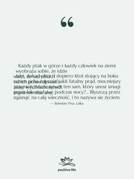 Cytat: Bolesław Prus. Lalka - Każdy ptak w górze i…
