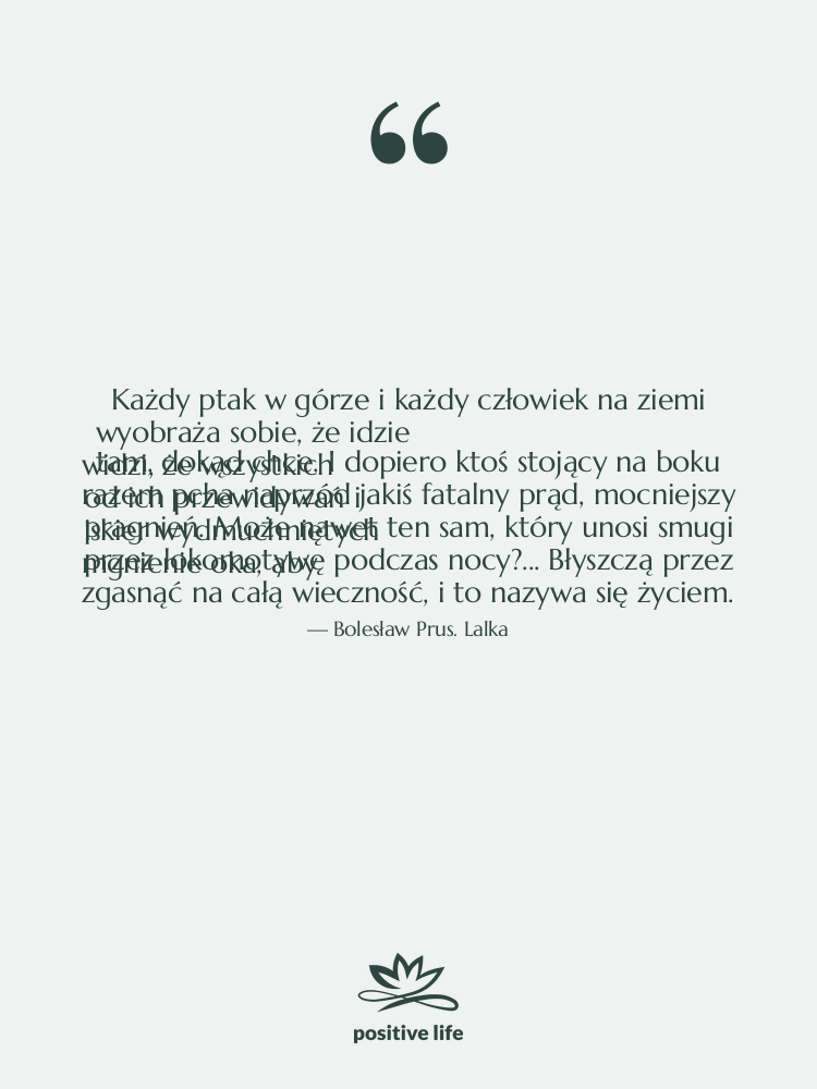 Cytat: Bolesław Prus. Lalka - Każdy ptak w górze i…