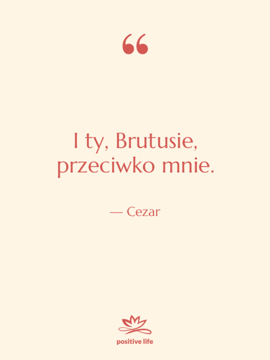 Cytat: Cezar - I ty, Brutusie, przeciwko mnie.