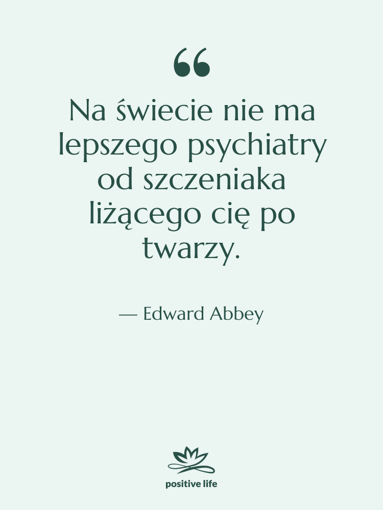 Cytat: Edward Abbey - Na świecie nie ma lepszego…