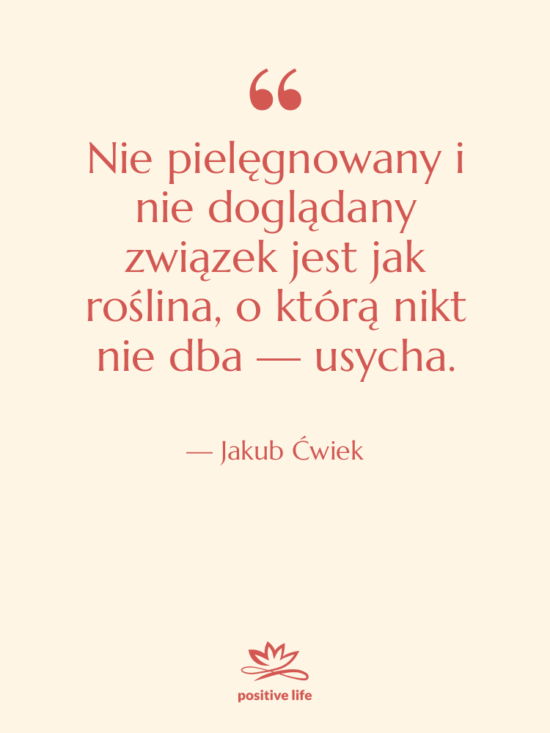 Cytat: Jakub Ćwiek - Nie pielęgnowany i nie doglądany…