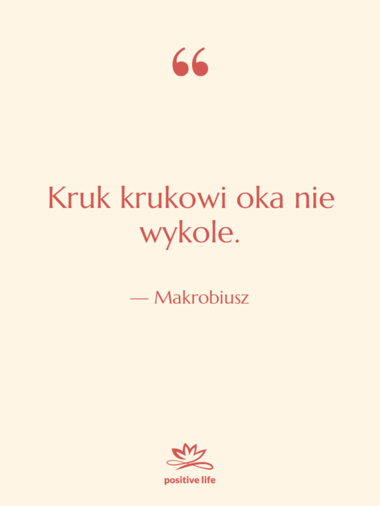 Cytat: Makrobiusz - Kruk krukowi oka nie wykole.