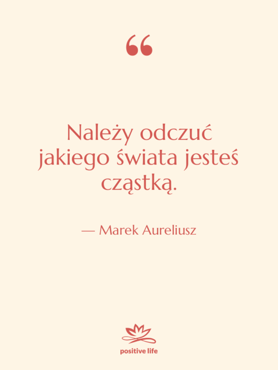 Cytat: Marek Aureliusz - Należy odczuć jakiego świata jesteś…