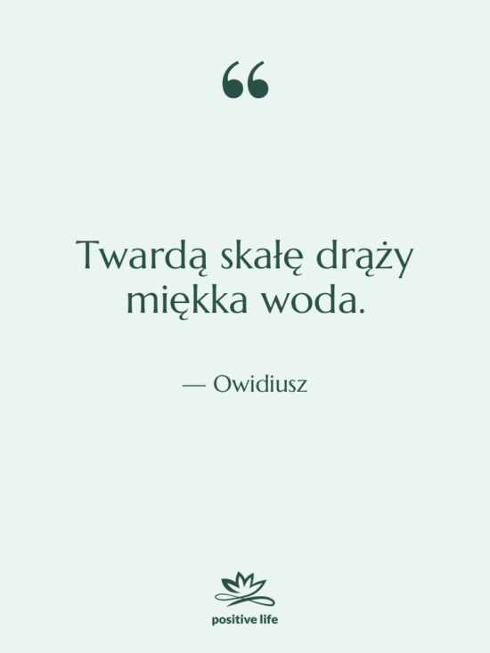 Cytat: Owidiusz - Twardą skałę drąży miękka woda.