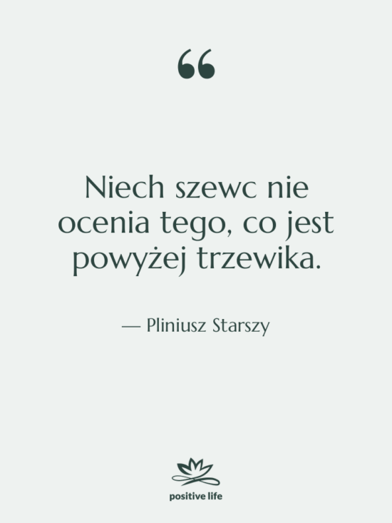 Cytat: Pliniusz Starszy - Niech szewc nie ocenia tego,…