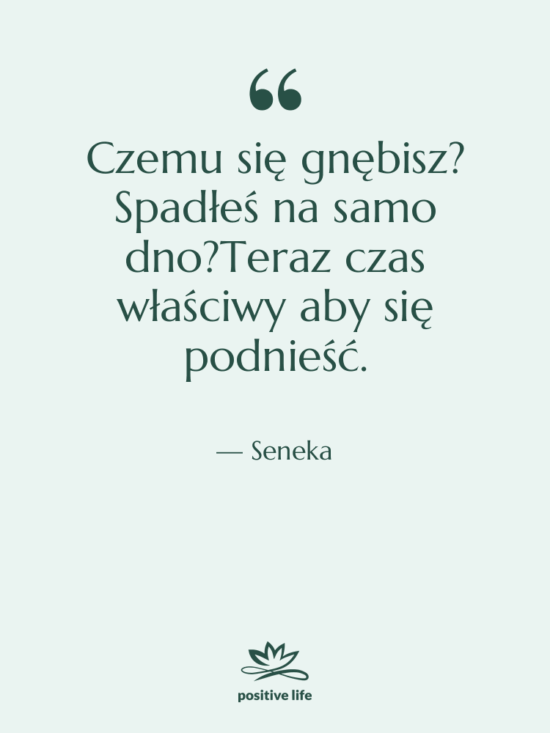 Cytat: Seneka - Czemu się gnębisz? Spadłeś na…