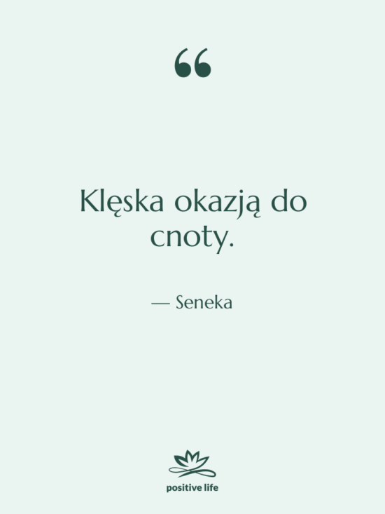 Cytat: Seneka - Klęska okazją do cnoty.
