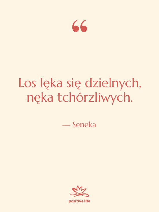 Cytat: Seneka - Los lęka się dzielnych, nęka…