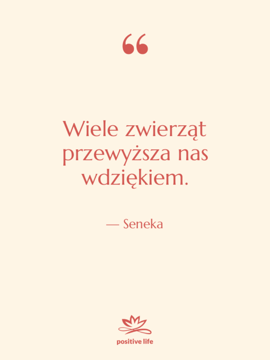 Cytat: Seneka - Wiele zwierząt przewyższa nas wdziękiem.