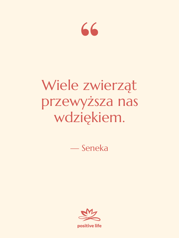 Cytat: Seneka - Wiele zwierząt przewyższa nas wdziękiem.