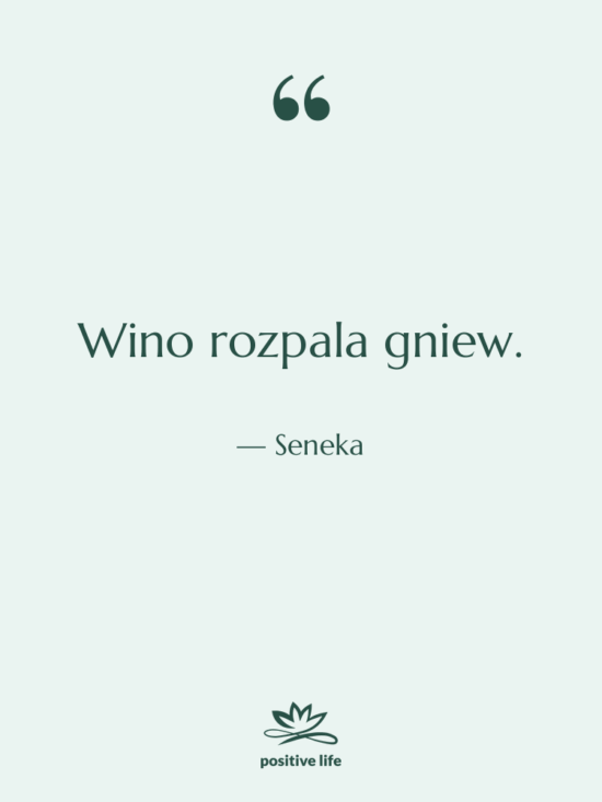 Cytat: Seneka - Wino rozpala gniew.