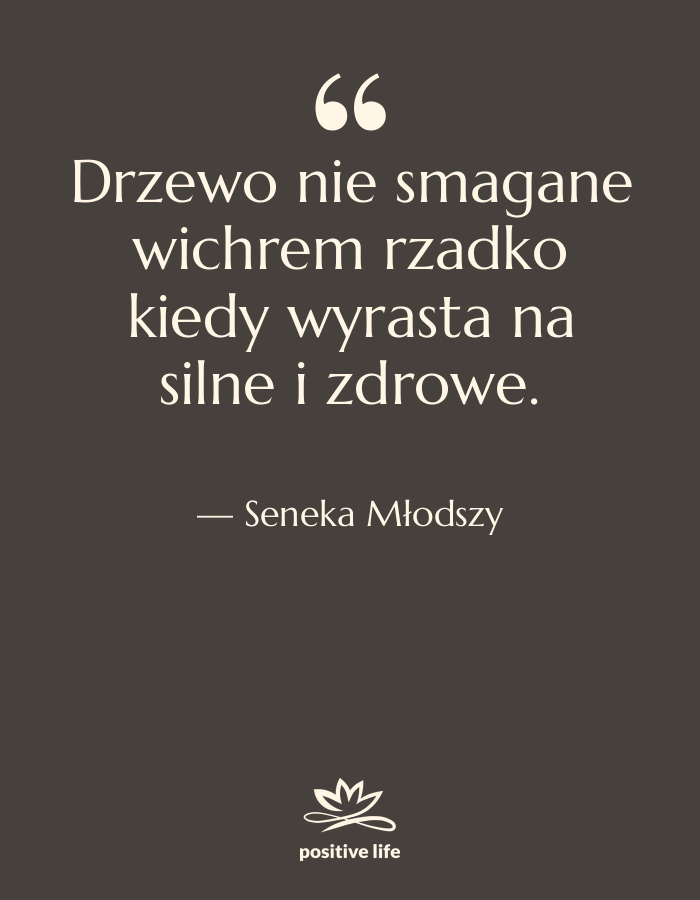 Cytat: Seneka Młodszy - Drzewo nie smagane wichrem rzadko&hellip;