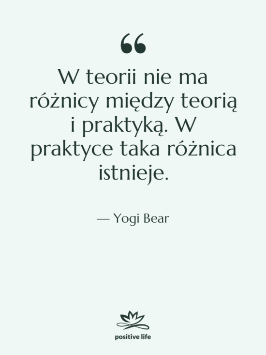 Cytat: Yogi Bear - W teorii nie ma różnicy…