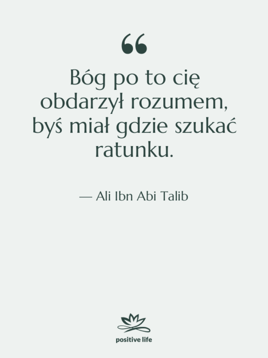Cytat: Ali Ibn Abi Talib - Bóg po to cię obdarzył…