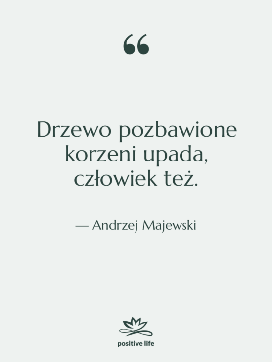 Cytat: Andrzej Majewski - Drzewo pozbawione korzeni upada, człowiek…
