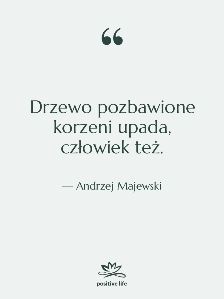Cytat: Andrzej Majewski - Drzewo pozbawione korzeni upada, człowiek…