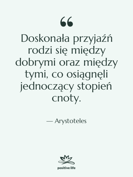 Cytat: Arystoteles - Doskonała przyjaźń rodzi się między…
