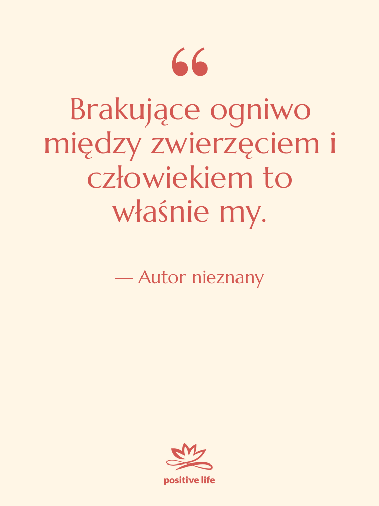 Cytat: Autor nieznany - Brakujące ogniwo między zwierzęciem i…