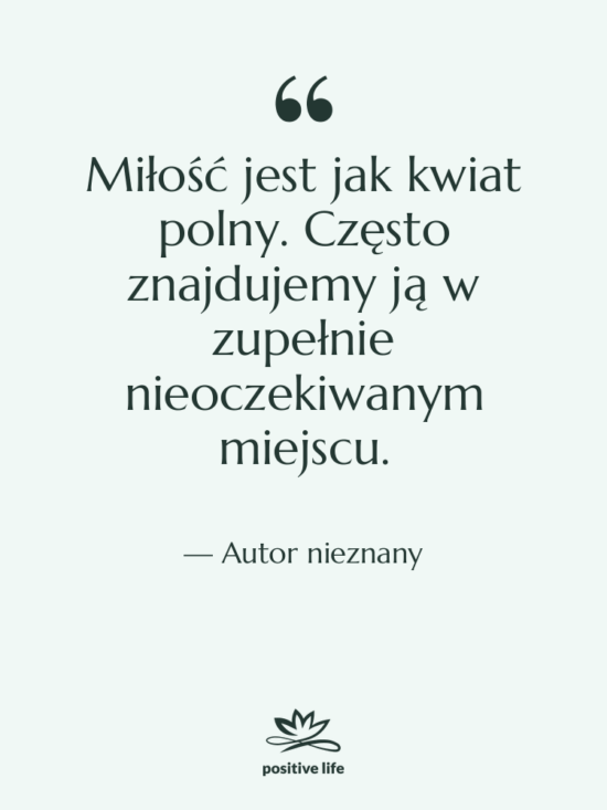 Cytat: Autor nieznany - Miłość jest jak kwiat polny.…