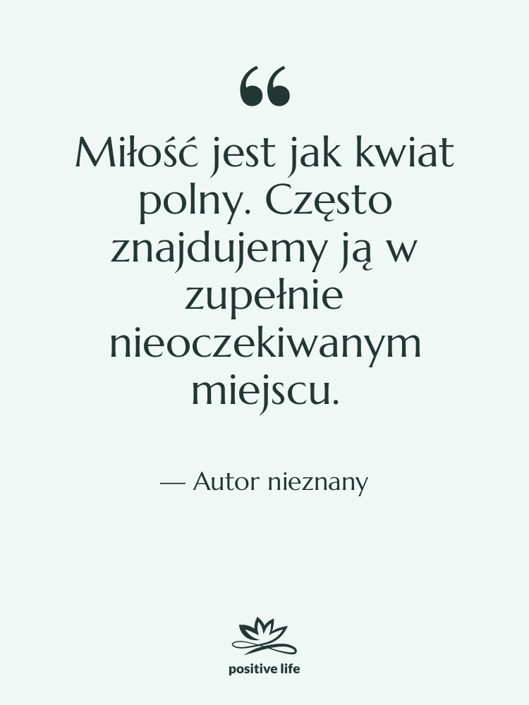 Cytat: Autor nieznany - Miłość jest jak kwiat polny.…