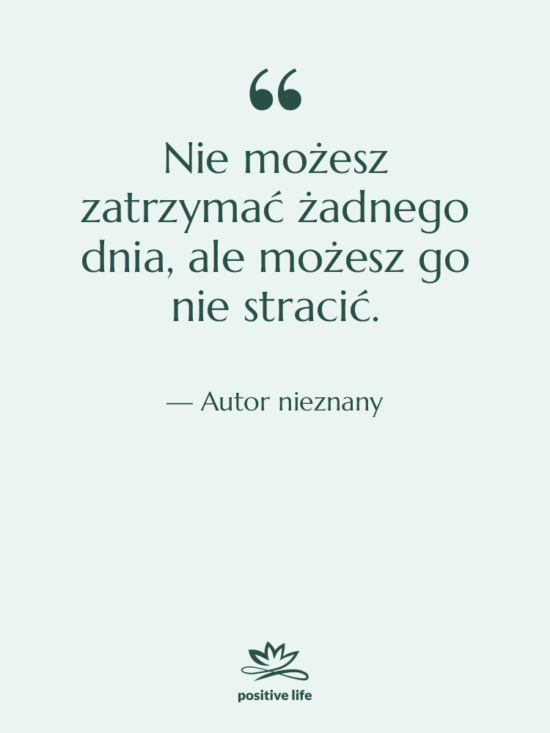 Cytat: Autor nieznany - Nie możesz zatrzymać żadnego dnia,…
