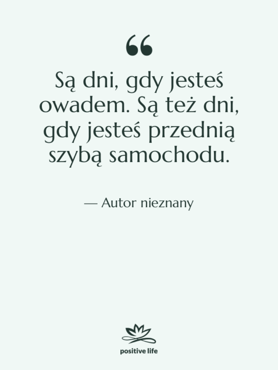 Cytat: Autor nieznany - Są dni, gdy jesteś owadem.…