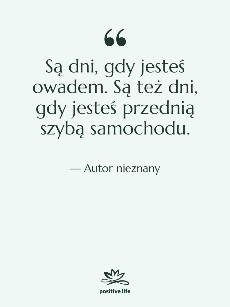 Cytat: Autor nieznany - Są dni, gdy jesteś owadem.…