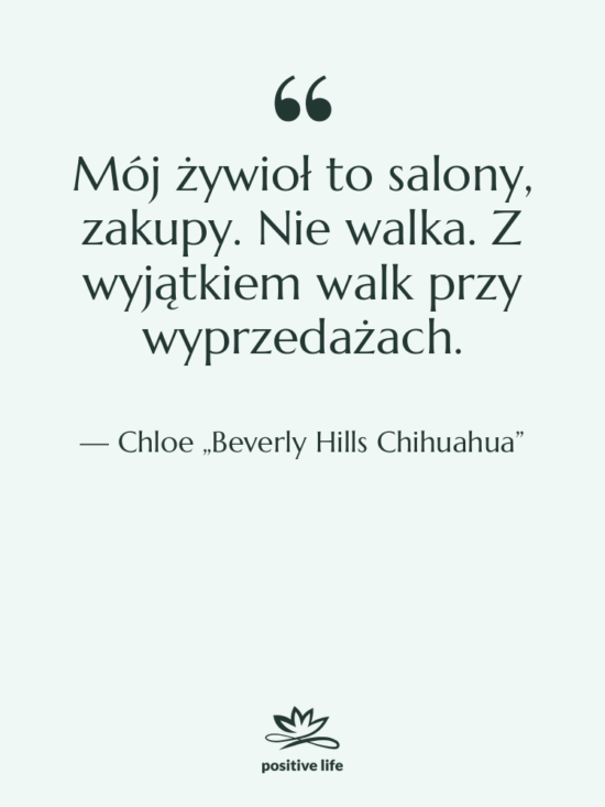 Cytat: Chloe „Beverly Hills Chihuahua” - Mój żywioł to salony, zakupy.…