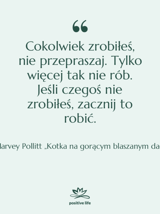 Cytat: Harvey Pollitt „Kotka na gorącym blaszanym dachu” - Cokolwiek zrobiłeś, nie przepraszaj. Tylko…