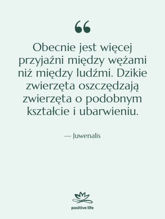 Cytat: Juwenalis - Obecnie jest więcej przyjaźni między…