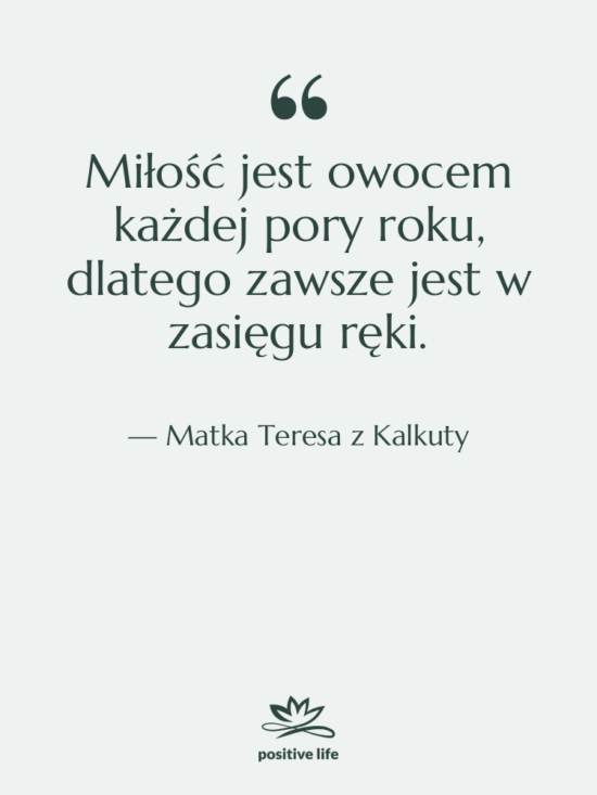 Cytat: Matka Teresa z Kalkuty - Miłość jest owocem każdej pory…