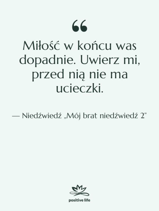Cytat: Niedźwiedź „Mój brat niedźwiedź 2” - Miłość w końcu was dopadnie.…