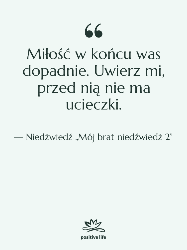 Cytat: Niedźwiedź „Mój brat niedźwiedź 2” - Miłość w końcu was dopadnie.…