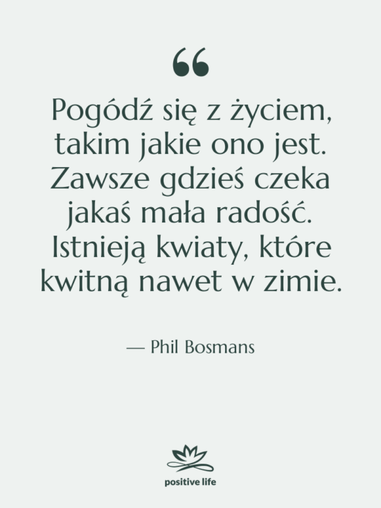 Cytat: Phil Bosmans - Pogódź się z życiem, takim…