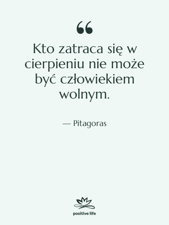 Cytat: Pitagoras - Kto zatraca się w cierpieniu…