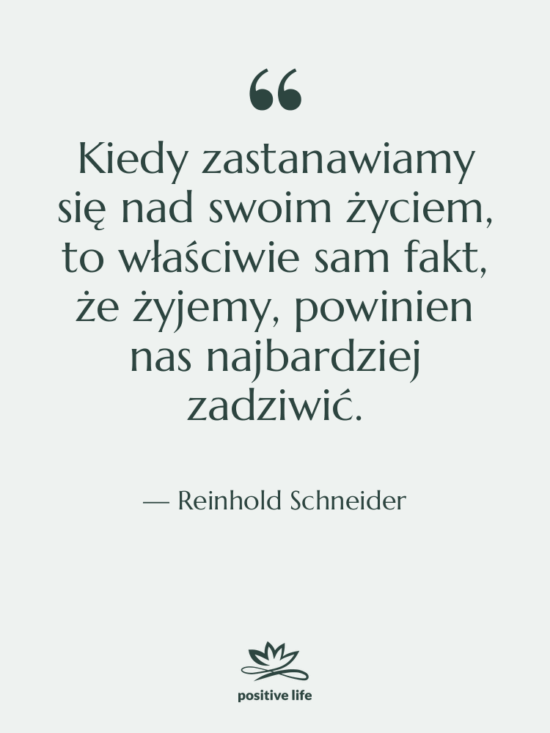 Cytat: Reinhold Schneider - Kiedy zastanawiamy się nad swoim…