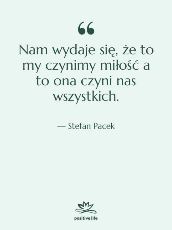 Cytat: Stefan Pacek - Nam wydaje się, że to…