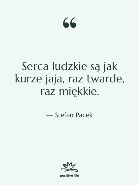 Cytat: Stefan Pacek - Serca ludzkie są jak kurze…