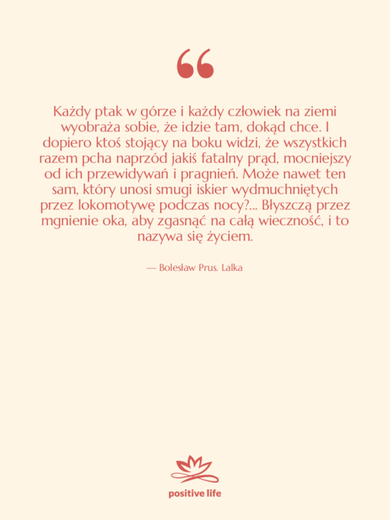 Cytat: Bolesław Prus. Lalka - Każdy ptak w górze i…