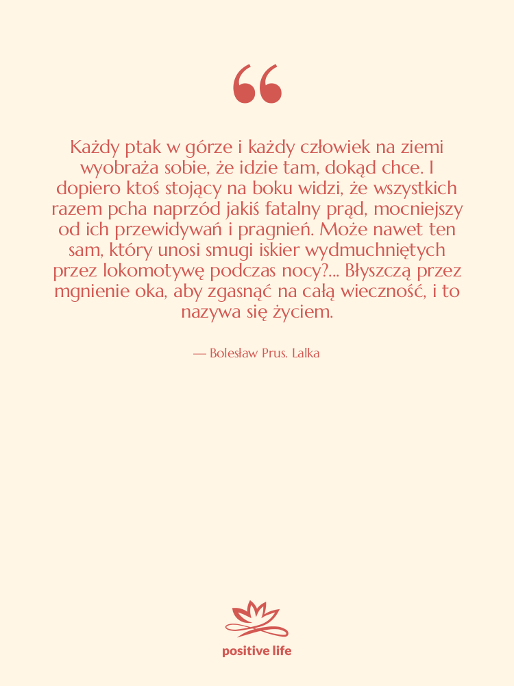Cytat: Bolesław Prus. Lalka - Każdy ptak w górze i…