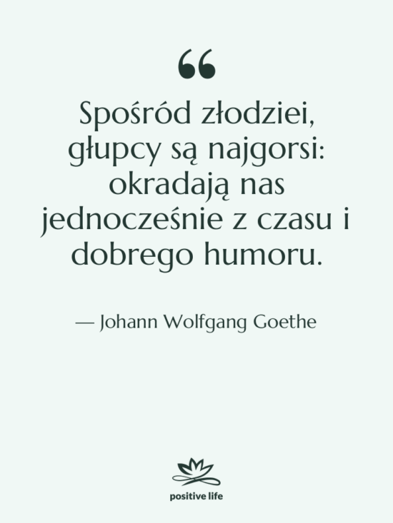 Cytat: Johann Wolfgang Goethe - Spośród złodziei, głupcy są najgorsi:…