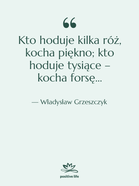 Cytat: Władysław Grzeszczyk - Kto hoduje kilka róż, kocha…