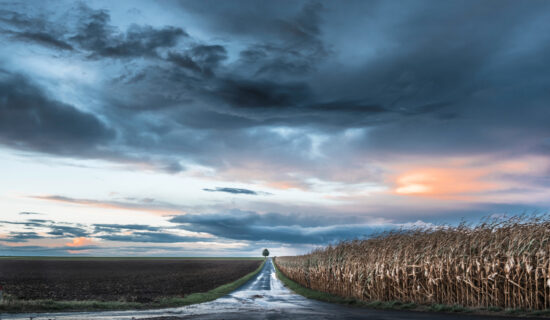 Złe emocje Wojciech Eichelberger