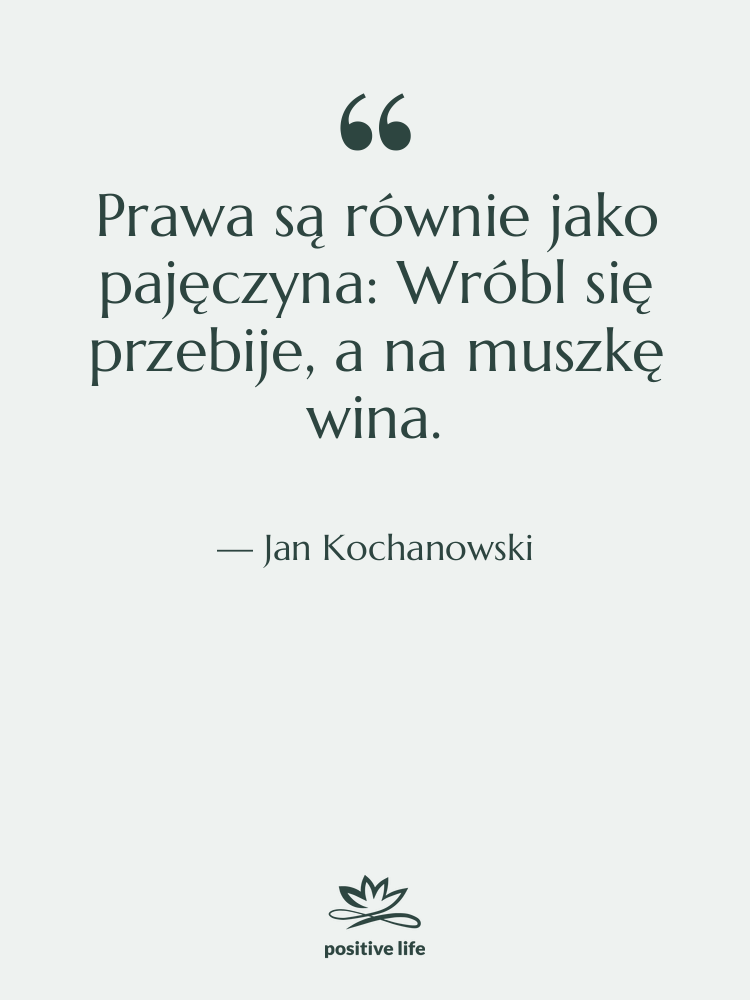 Cytat: Jan Kochanowski - Prawa są równie jako pajęczyna:&hellip;