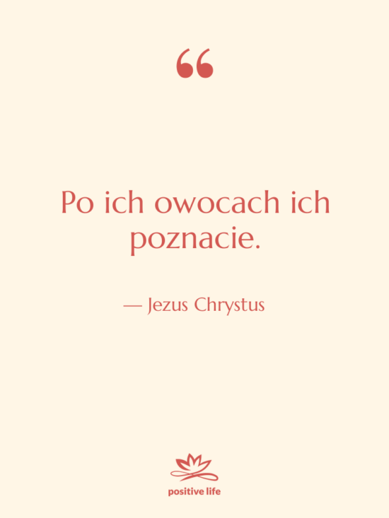 Cytat: Jezus Chrystus - Po ich owocach ich poznacie.