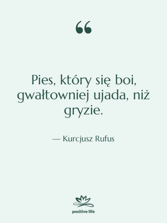 Cytat: Kurcjusz Rufus - Pies, który się boi, gwałtowniej&hellip;